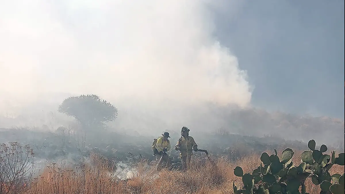 Incendio forestal en Zacatecas